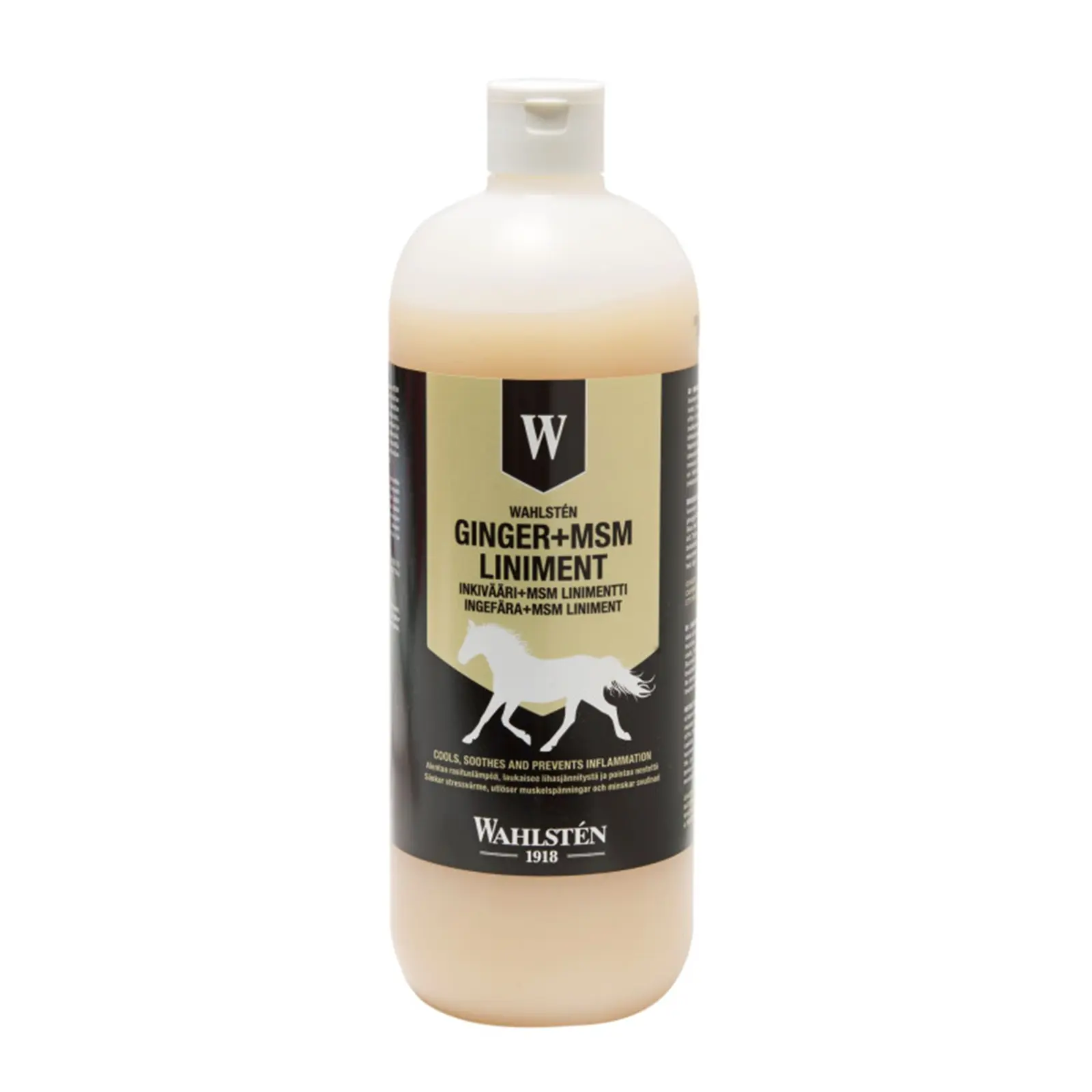 Liniment Ingefära + MSM